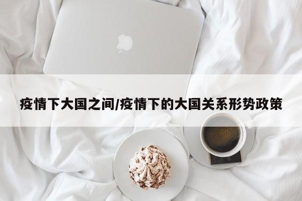 疫情下大国之间/疫情下的大国关系形势政策