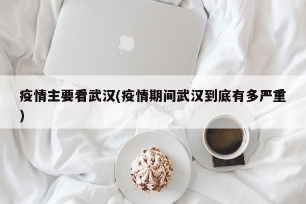 疫情主要看武汉(疫情期间武汉到底有多严重)