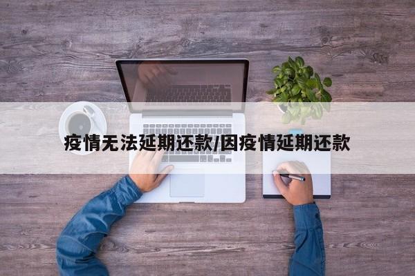 疫情无法延期还款/因疫情延期还款